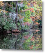 Fall Colors In The Swamp Metal Print