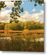 Fall In The Marshland Metal Print