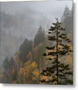 Fall In The Smoky Mountains Metal Print