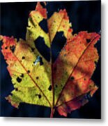 Fall Is For Love Metal Print