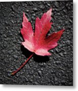 Fall Maple Leaf Metal Print