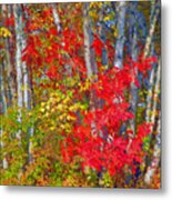 Fall Palette Metal Print