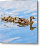 Family Outting 02 Op Metal Print