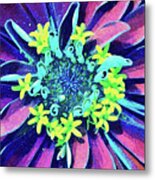 Far Out And Colorful Zinnia Flower Metal Print