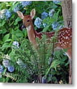 Fawn And Flower Metal Print