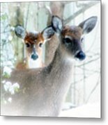 Fawns On A Snowy Day Metal Print