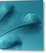 Feathers From Heaven Metal Print