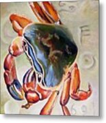 Feeling Crabby Metal Print