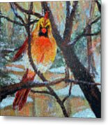 Female Cardinal Keeping Warm In A Snowstorm Metal Print