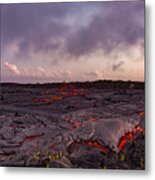 Finger Of Lava Approaches Plants Metal Print