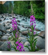 Fireweed On The Litte Su Metal Print