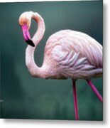 Flamingo Artistry Metal Print