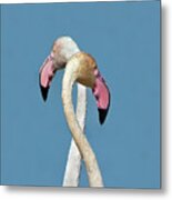 Flamingo Couple Metal Print