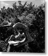 Flexing Tree In Black And White Metal Print
