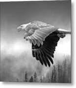 Flight In Black And White Metal Print