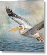 Flight Of A Great White Pelican Metal Print