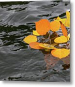 Floating Colors Metal Print