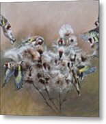 Flock Of Goldfinches On Thistle Metal Print