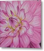 Floral Burst Metal Print