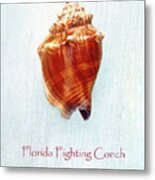 Florida Fighting Conch Ii Metal Print