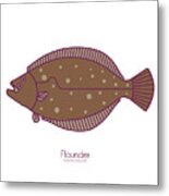 Flounder Metal Print