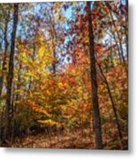 Flovilla Hillside Tree Colorations Metal Print
