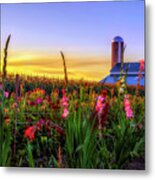 Flower Farm Metal Print