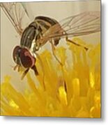 Flower Fly Metal Print