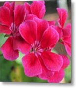 Flower In Bloom 6 Metal Print