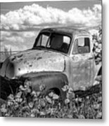 Flower Truck In Poppies Black And White Metal Print
