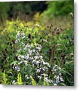 Flowers At The End Of Summer Metal Print