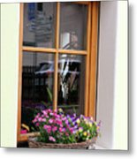 Flowers In Window In Italian Dolomites 8828 Metal Print