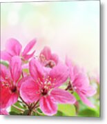 Flowers Metal Print