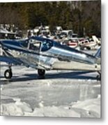 Fly - In On Ice Metal Print