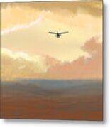 Fly Into The Sunset Metal Print