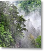 Fog In Valley 2 Metal Print