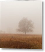 Fog On The Battlegrounds Of Gettysburg Pa Metal Print