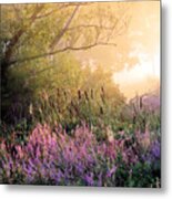 Foggy August In The Marshes Metal Print