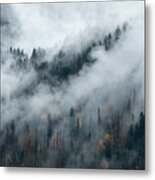 Foggy Fall Forest Metal Print