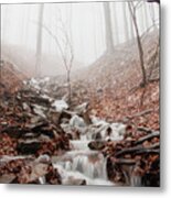Foggy Morning In A Deciduous Forest Metal Print