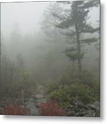 Foggy Morning Mountain Trail Metal Print