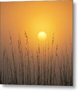 Foggy Morning Sunrise Metal Print