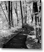 Forbidden Woods Vertical Metal Print