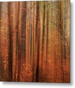 Forest Dream Metal Print