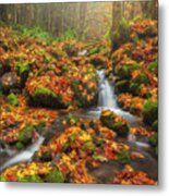 Forest In The Fog Metal Print