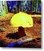 Forest Life Metal Print
