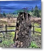 Forest Remnant With Shower Looming Metal Print