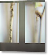 Forest Stems Metal Print