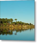 Forests Mirror Metal Print