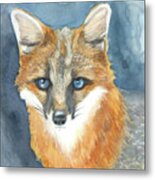 Fox Metal Print